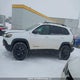 1C4PJMBX7LD558101 2020 Jeep Cherokee Trailhawk Elite auction photo thumbnail 14