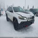 1C4PJMBX7LD558101 2020 Jeep Cherokee Trailhawk Elite auction photo thumbnail 1
