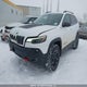 1C4PJMBX7LD558101 2020 Jeep Cherokee Trailhawk Elite auction photo thumbnail 2