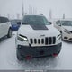 1C4PJMBX7LD558101 2020 Jeep Cherokee Trailhawk Elite auction photo thumbnail 6