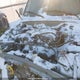 JT3HN86R5Y0264551 2000 Toyota 4Runner Sr5 V6 auction photo thumbnail 10