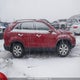 5XYKT3A61DG339841 2013 Kia Sorento auction photo thumbnail 13