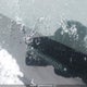 2T1BURHE5GC512290 2016 Toyota Corolla L/Le/Le Pls/Prm/S/S Pls auction photo thumbnail 19