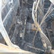 5TFUX4ENXFX030809 2015 Toyota Tacoma auction photo thumbnail 8