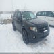 1FMCU0DG7BKA77461 2011 Ford Escape Xlt Automatic auction photo thumbnail 1