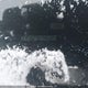 KNDAFFS57S6055558 2025 Kia Ev9 Land auction photo thumbnail 18
