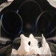 1G1PC5SBXD7245766 2013 Chevrolet Cruze Lt Turbo auction photo thumbnail 7