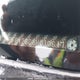 2HGFG12306H010617 2006 Honda Civic Dx Vp auction photo thumbnail 19
