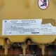 CAT00340CFKN10093 2023 Caterpillar Excavator auction photo thumbnail 9