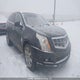 3GYFNEEYXAS651356 2010 Cadillac Srx Luxury And Performance Collection auction photo thumbnail 1