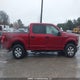 1FTEW1E89HFB92682 2017 Ford F-150 Xlt auction photo thumbnail 14