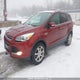 1FMCU9J99EUA16695 2014 Ford Escape Titanium auction photo thumbnail 2