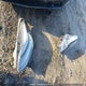 7SAYGAEE7PF763463 2023 Tesla Model Y Long Range auction photo thumbnail 12