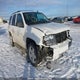 1GNDT33S492124319 2009 Chevrolet Trailblazer Lt1/Lt3 auction photo thumbnail 1