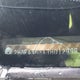 2HGFA163X7H012999 2007 Honda Civic Dx-G auction photo thumbnail 20