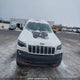 1C4PJMBX9LD544104 2020 Jeep Cherokee Trailhawk auction photo thumbnail 12