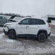 1C4PJMBX9LD544104 2020 Jeep Cherokee Trailhawk auction photo thumbnail 14