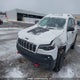 1C4PJMBX9LD544104 2020 Jeep Cherokee Trailhawk auction photo thumbnail 2
