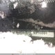3C6RR7KT6HG610884 2017 Ram 1500 St auction photo thumbnail 20