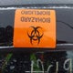 3VWTK49M59M620743 2009 Volkswagen City Jetta auction photo thumbnail 10
