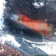 3FADP4BJ7GM163770 2016 Ford Fiesta Se auction photo thumbnail 18