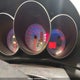 JM1BK32F381103604 2008 Mazda Mazda3 Gs/Gx auction photo thumbnail 7