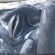 5NMZUDLA6JH082244 2018 Hyundai Santa Fe Sport auction photo thumbnail 14