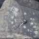 JTMBD32V386055980 2008 Toyota Rav4 Sport auction photo thumbnail 11