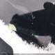 JM1DKDB76K1417357 2019 Mazda Cx-3 Sport auction photo thumbnail 19