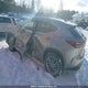 2T2GGCEZ2RC059990 2024 Lexus Nx 350 Premium auction photo thumbnail 3