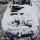 3VWDK7AJ0BM063463 2011 Volkswagen Jetta auction photo thumbnail 10
