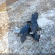 KMHD84LF3JU649900 2018 Hyundai Elantra Gl auction photo thumbnail 12