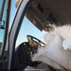 3ALACYD23KDJF6100 2019 Freightliner M2 106 auction photo thumbnail 7