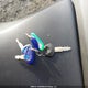 JS1GW72B692100118 2009 Suzuki Gsf1250 Sa auction photo thumbnail 11