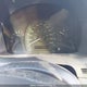 1HGCM56767A811133 2007 Honda Accord auction photo thumbnail 7