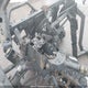3JBUUAX40SK003872 2025 Can-Am Defender Max Limited Cab Hd10/Lone Star Hd10 auction photo thumbnail 7