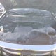 5FNYF4H99FB501569 2015 Honda Pilot Touring auction photo thumbnail 10