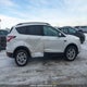 1FMCU9G95HUD13684 2017 Ford Escape Se auction photo thumbnail 13