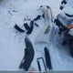 1VWAH7A32DC037079 2013 Volkswagen Passat S auction photo thumbnail 12