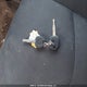KNDJT2A29A7182779 2010 Kia Soul 2.0L 2U/2.0L 4U/2.0L 4U Burner/2.0L 4U Retro/2.0L 4U Sx auction photo thumbnail 11