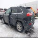 1C4PJMCSXGW110965 2016 Jeep Cherokee North auction photo thumbnail 14