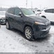 1C4PJMCSXGW110965 2016 Jeep Cherokee North auction photo thumbnail 1