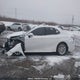 4T1G11AK3RU878203 2024 Toyota Camry Se auction photo thumbnail 15