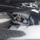 3VW547AUXJM289890 2018 Volkswagen Golf Gti auction photo thumbnail 10