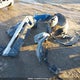 JF2SKELC6NH457489 2022 Subaru Forester Wilderness auction photo thumbnail 18