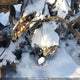 3JBLPAJ20GJ001109 2016 Can-Am Outlander Max 650 Xt auction photo thumbnail 10