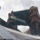 5NPE24AF3FH036559 2015 Hyundai Sonata Gls auction photo thumbnail 18