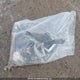 2HGFC2F7XLH022378 2020 Honda Civic Ex auction photo thumbnail 12