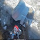 1FMCU0D72CKC72112 2012 Ford Escape Xlt auction photo thumbnail 12