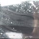 2T1KE4EE7AC033011 2010 Toyota Corolla Matrix S auction photo thumbnail 19